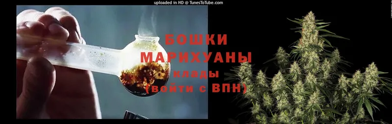 наркотики  Алексеевка  Шишки марихуана семена 